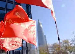 竞逐巅峰!球员们拼尽全力,为胜利拼搏