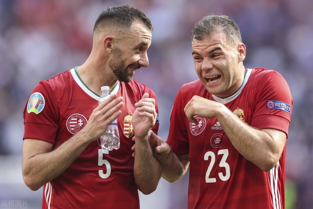 欧洲杯 匈牙利队