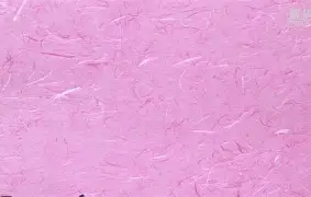 爱游戏官网-流云女君笔趣阁